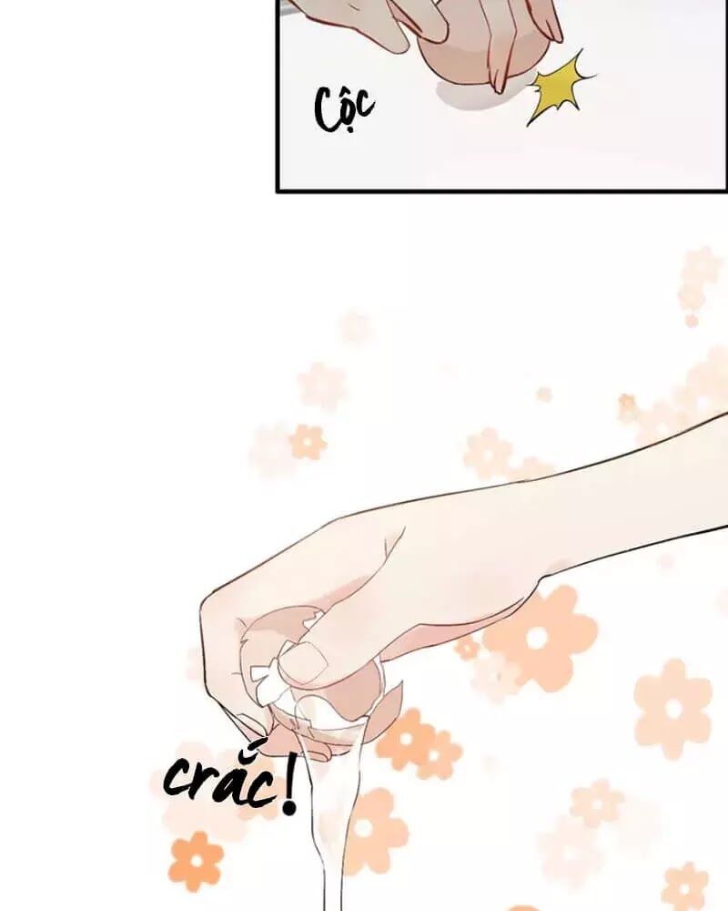 Cô Vợ Hợp Đồng Bỏ Trốn Của Tổng Giám Đốc Chapter 217 - 27