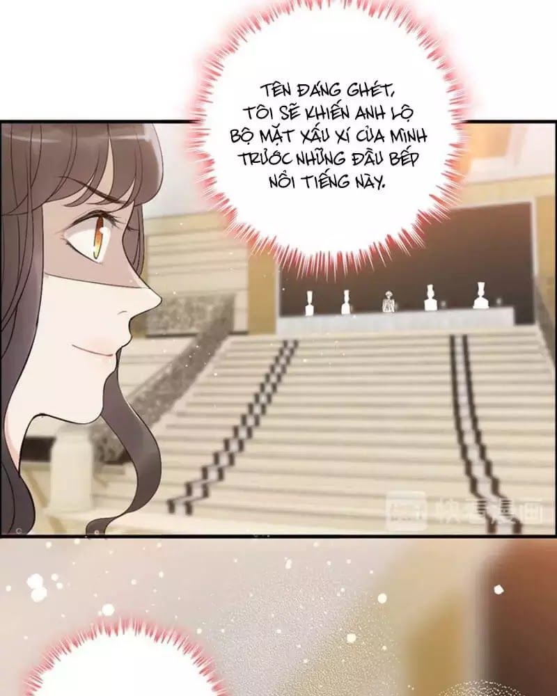 Cô Vợ Hợp Đồng Bỏ Trốn Của Tổng Giám Đốc Chapter 218 - 13