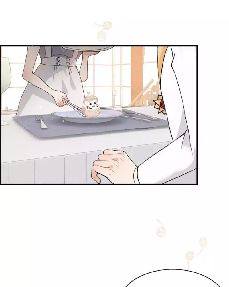 Cô Vợ Hợp Đồng Bỏ Trốn Của Tổng Giám Đốc Chapter 218 - 19