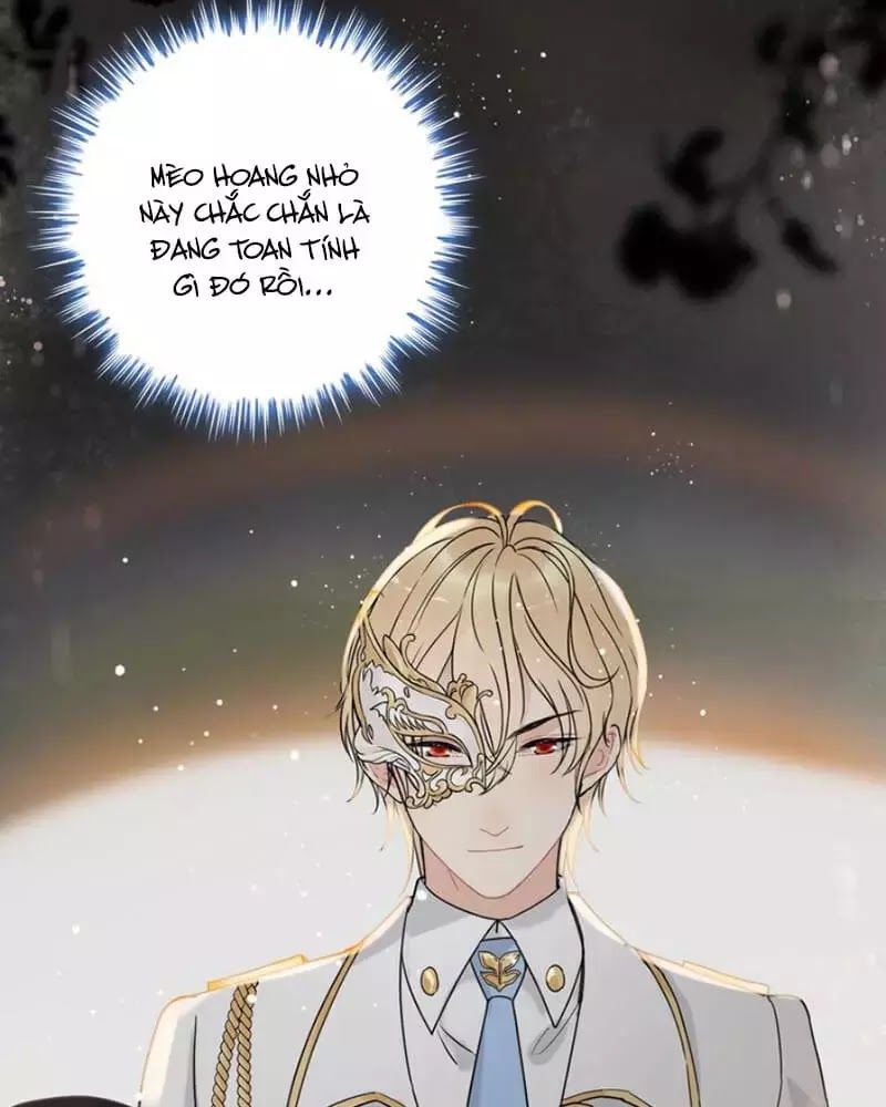 Cô Vợ Hợp Đồng Bỏ Trốn Của Tổng Giám Đốc Chapter 218 - 21