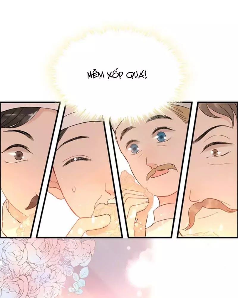 Cô Vợ Hợp Đồng Bỏ Trốn Của Tổng Giám Đốc Chapter 218 - 26