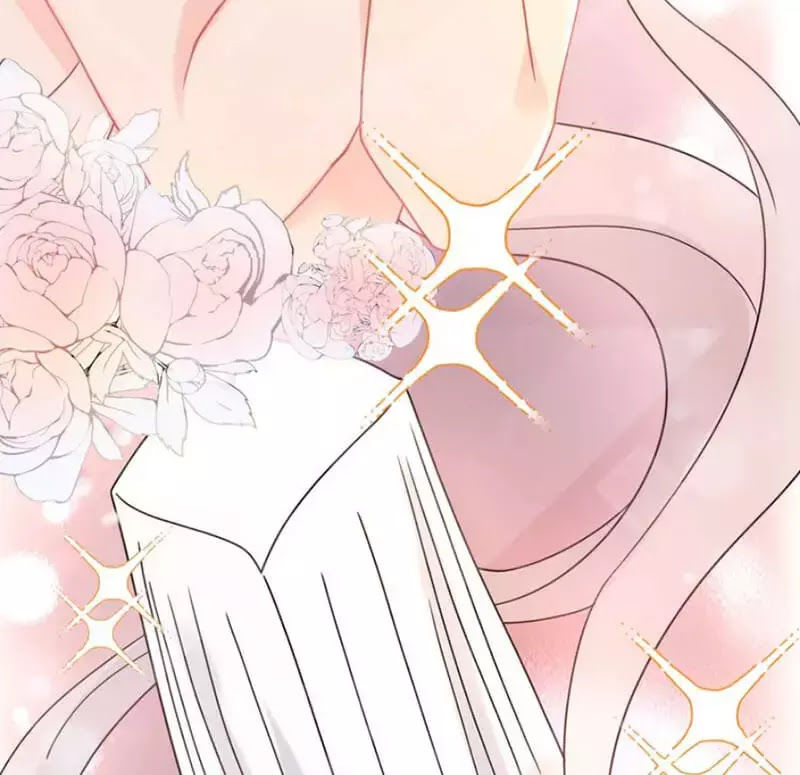 Cô Vợ Hợp Đồng Bỏ Trốn Của Tổng Giám Đốc Chapter 218 - 29