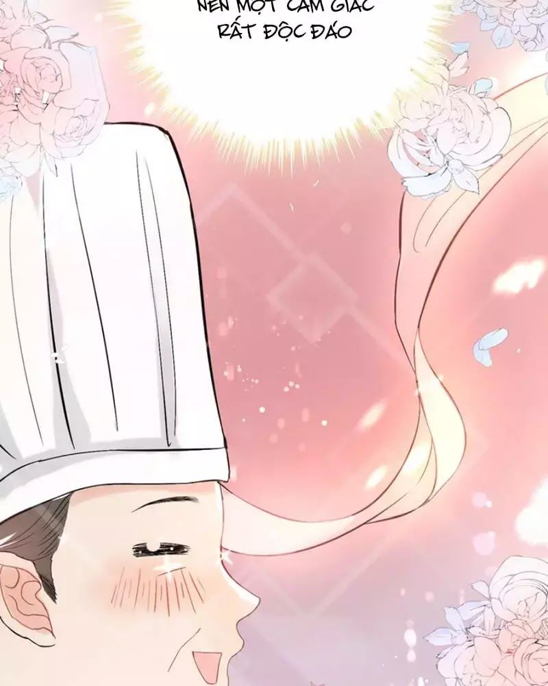 Cô Vợ Hợp Đồng Bỏ Trốn Của Tổng Giám Đốc Chapter 218 - 31