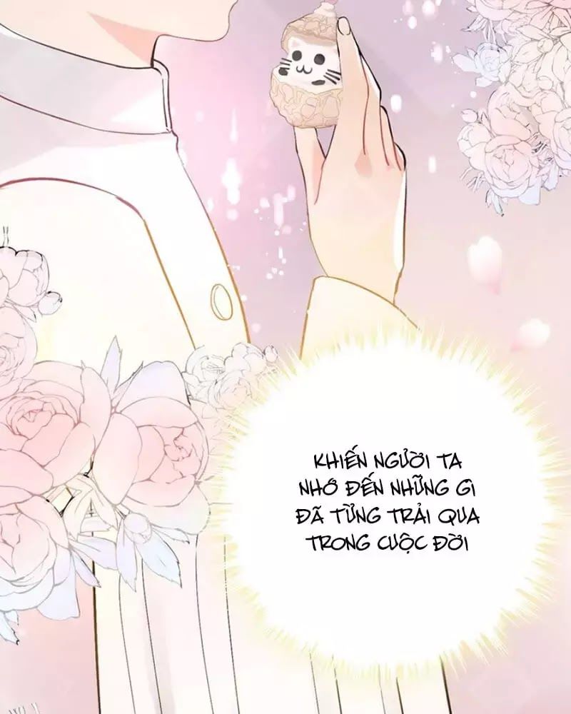 Cô Vợ Hợp Đồng Bỏ Trốn Của Tổng Giám Đốc Chapter 218 - 32