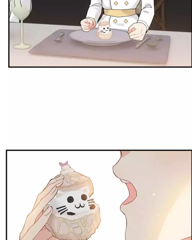 Cô Vợ Hợp Đồng Bỏ Trốn Của Tổng Giám Đốc Chapter 218 - 40