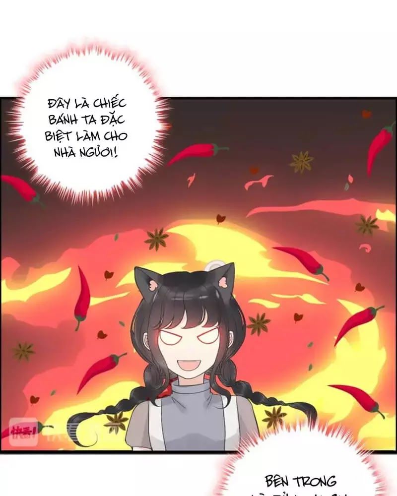 Cô Vợ Hợp Đồng Bỏ Trốn Của Tổng Giám Đốc Chapter 218 - 43