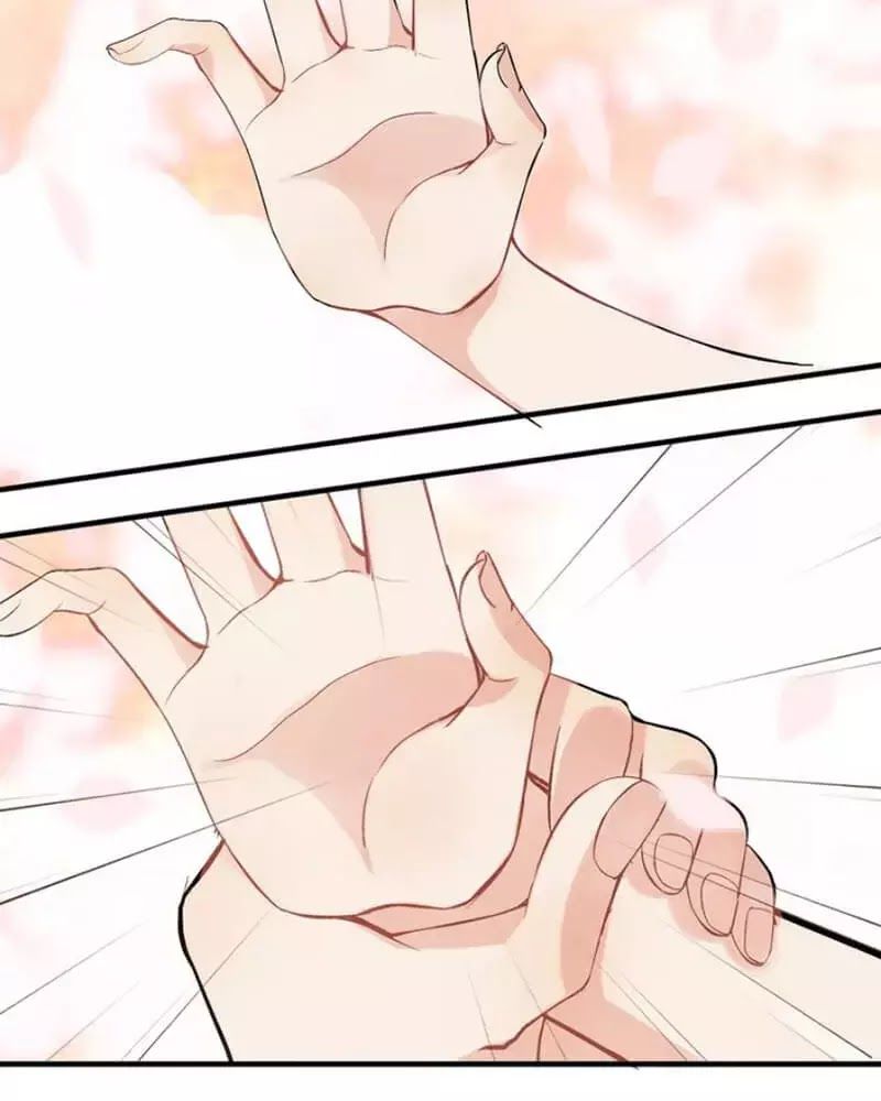 Cô Vợ Hợp Đồng Bỏ Trốn Của Tổng Giám Đốc Chapter 218 - 66