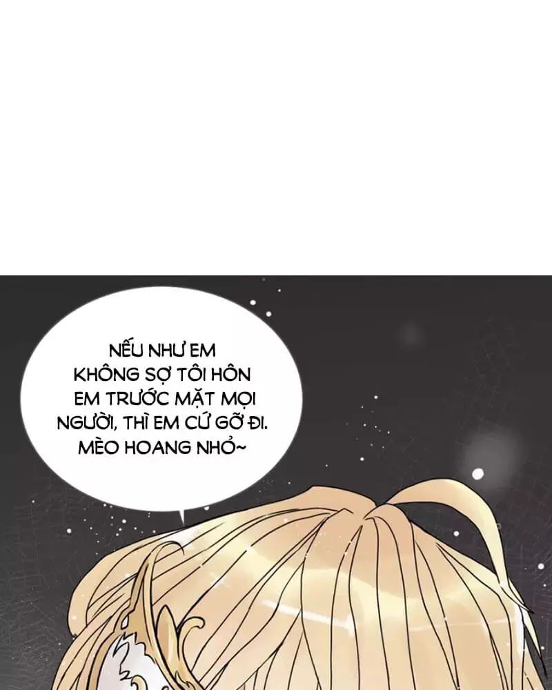 Cô Vợ Hợp Đồng Bỏ Trốn Của Tổng Giám Đốc Chapter 218 - 67