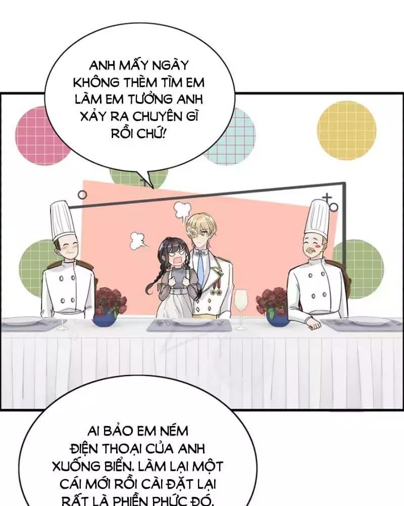 Cô Vợ Hợp Đồng Bỏ Trốn Của Tổng Giám Đốc Chapter 219 - 20