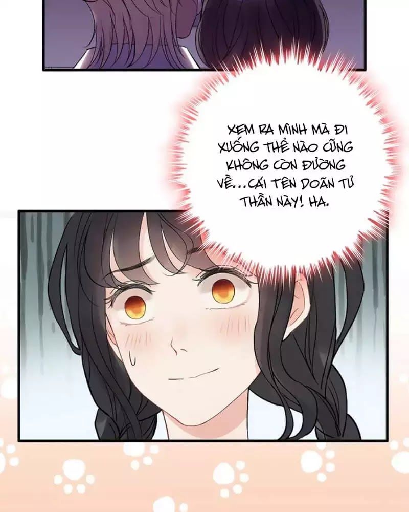 Cô Vợ Hợp Đồng Bỏ Trốn Của Tổng Giám Đốc Chapter 219 - 24