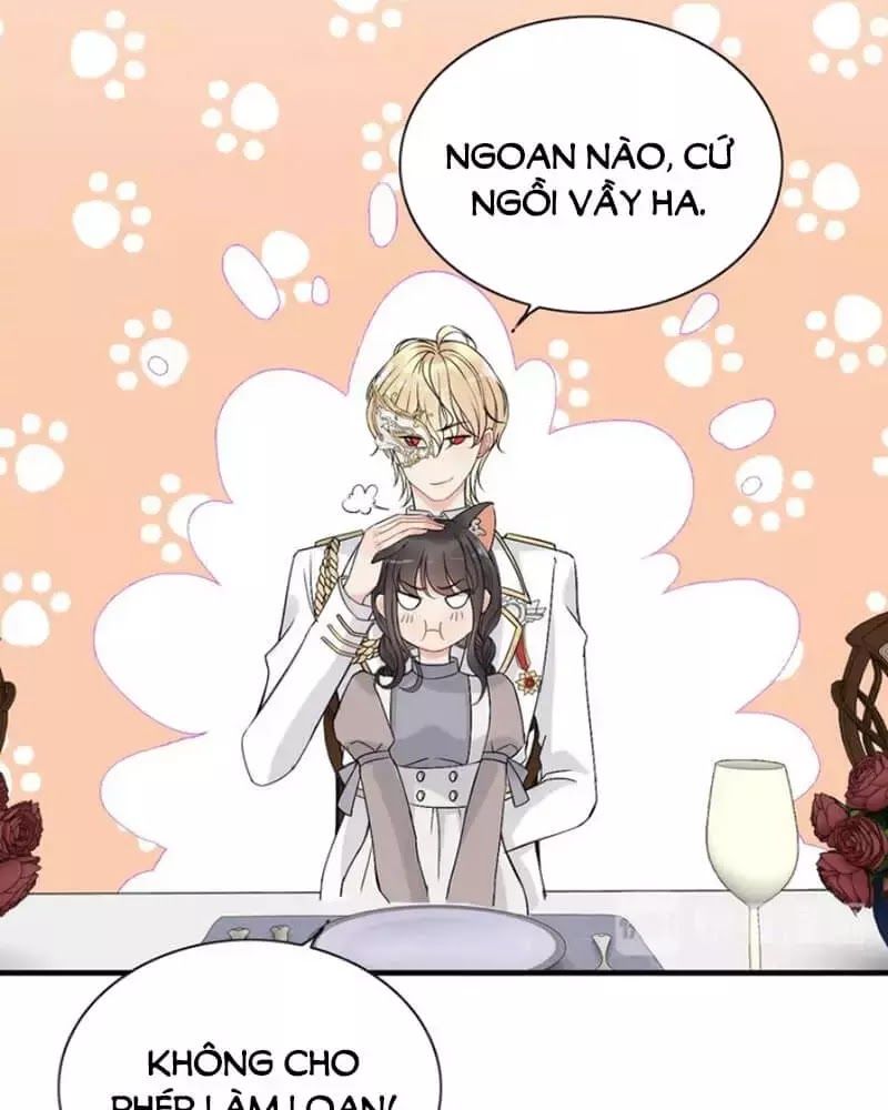 Cô Vợ Hợp Đồng Bỏ Trốn Của Tổng Giám Đốc Chapter 219 - 25