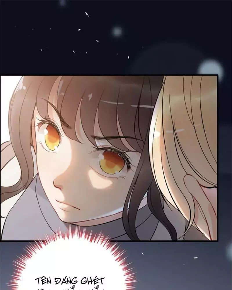 Cô Vợ Hợp Đồng Bỏ Trốn Của Tổng Giám Đốc Chapter 219 - 4