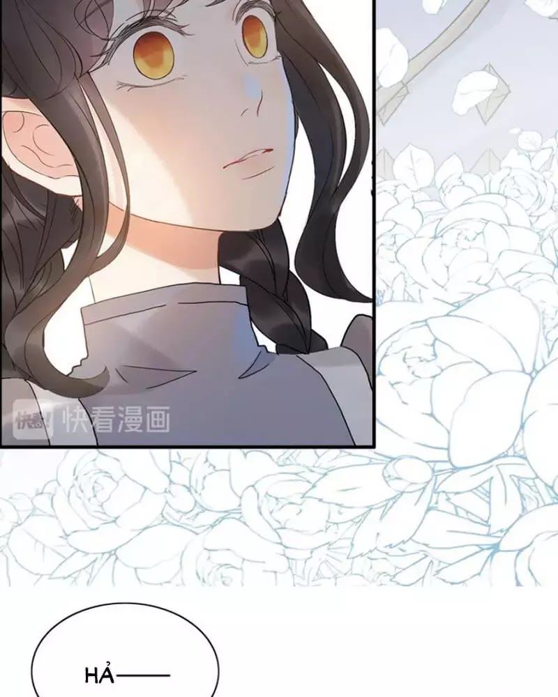 Cô Vợ Hợp Đồng Bỏ Trốn Của Tổng Giám Đốc Chapter 219 - 47