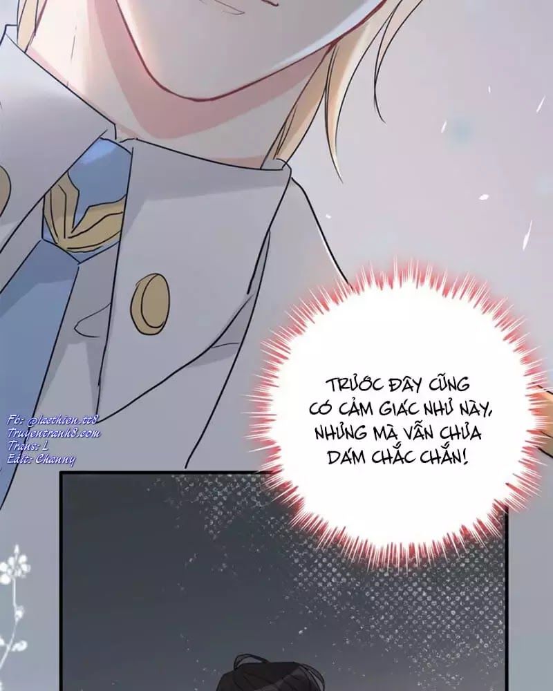 Cô Vợ Hợp Đồng Bỏ Trốn Của Tổng Giám Đốc Chapter 219 - 6