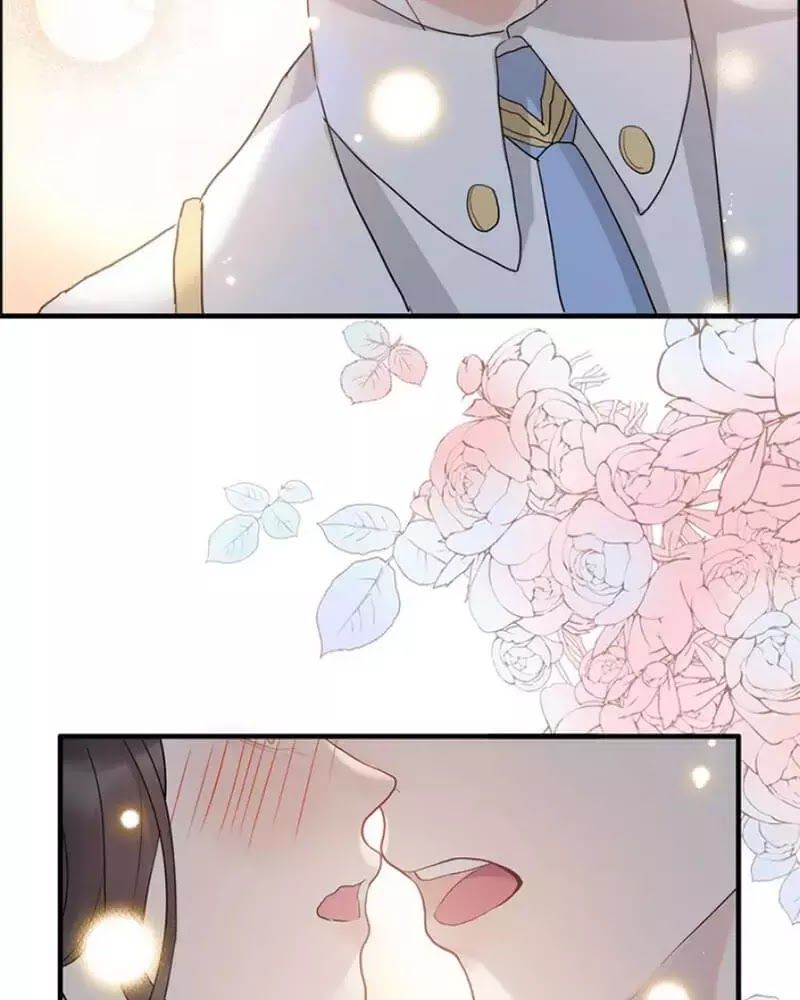 Cô Vợ Hợp Đồng Bỏ Trốn Của Tổng Giám Đốc Chapter 219 - 72