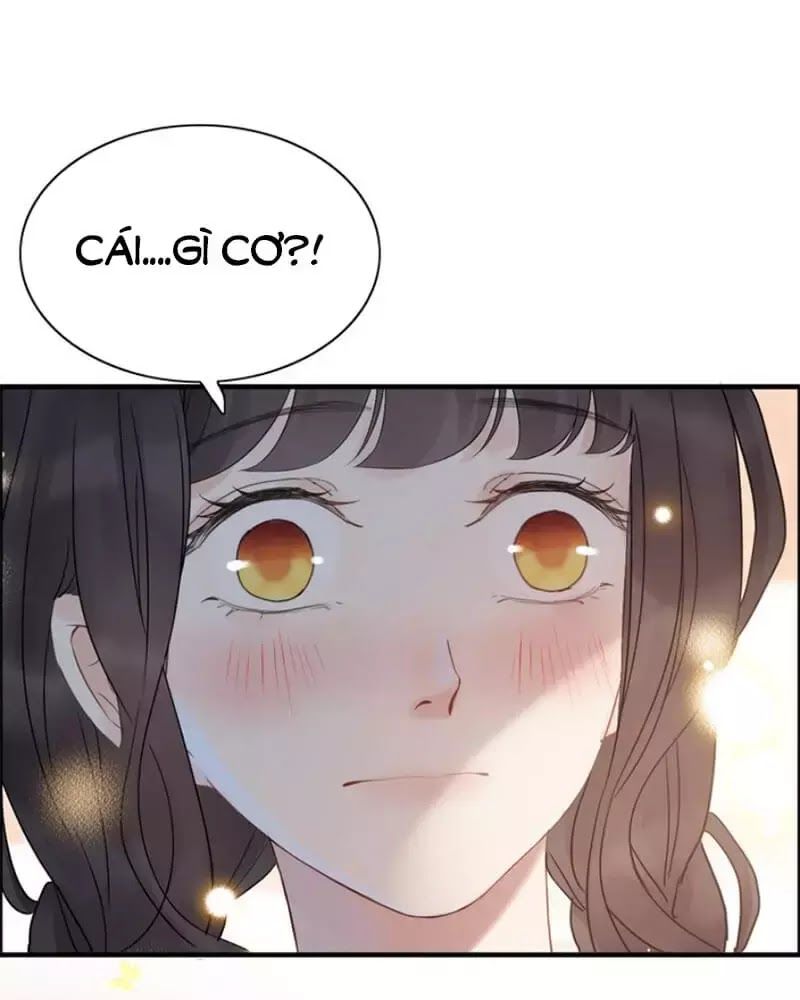 Cô Vợ Hợp Đồng Bỏ Trốn Của Tổng Giám Đốc Chapter 219 - 77