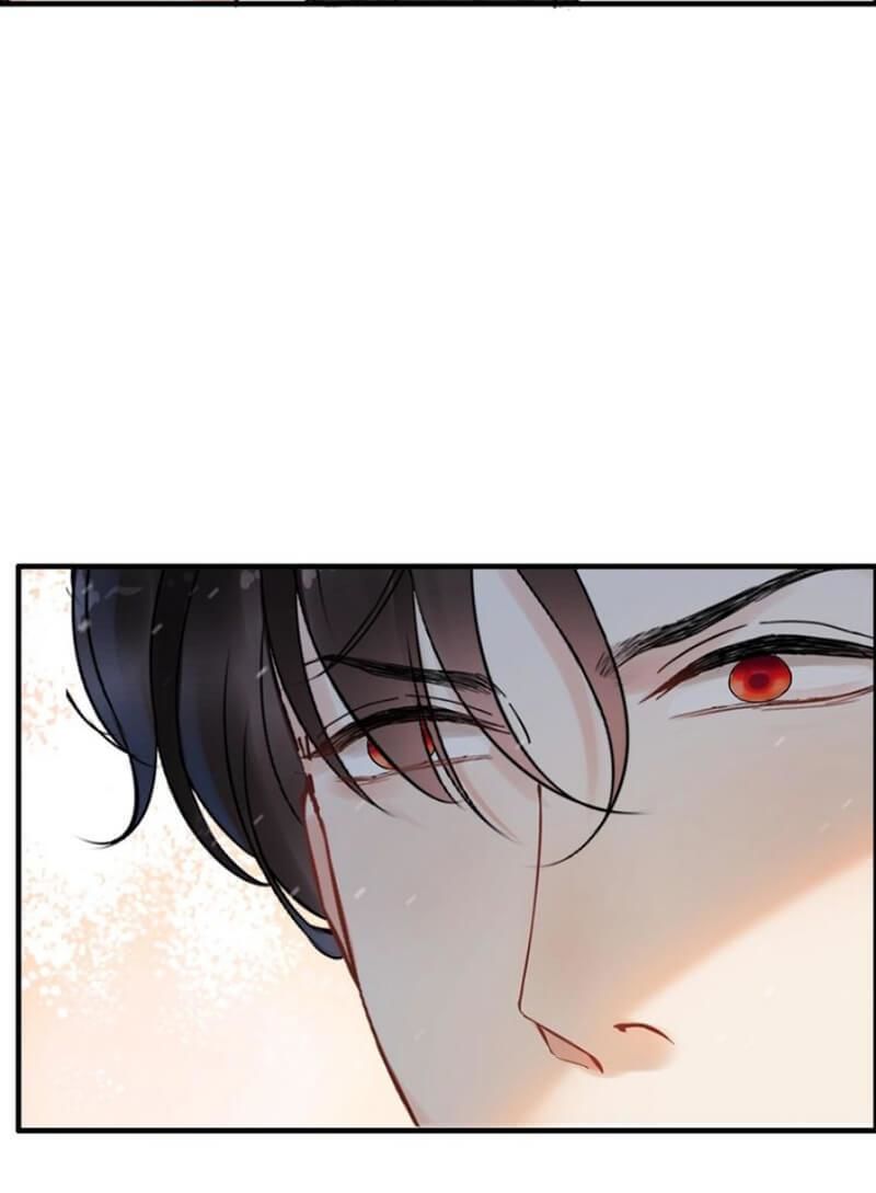 Cô Vợ Hợp Đồng Bỏ Trốn Của Tổng Giám Đốc Chapter 220 - 35