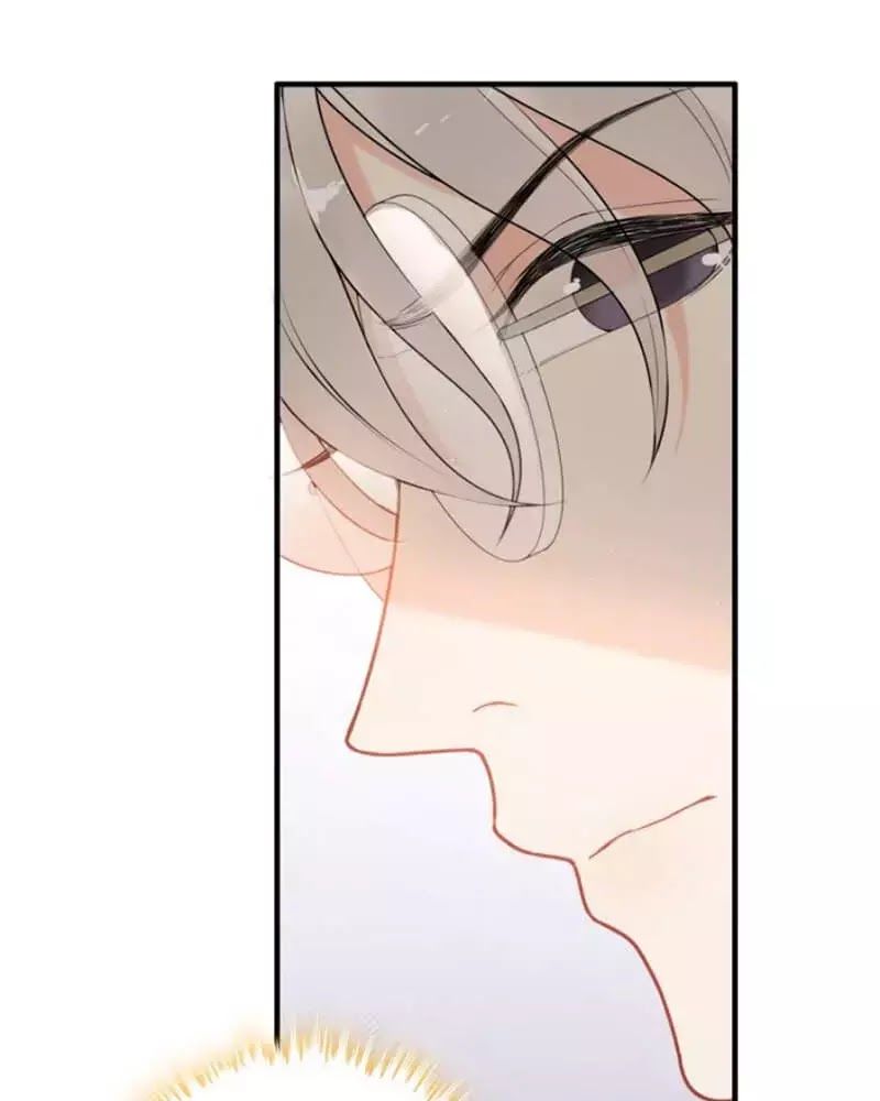 Cô Vợ Hợp Đồng Bỏ Trốn Của Tổng Giám Đốc Chapter 221 - 12