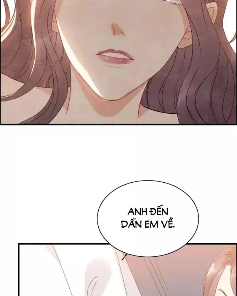 Cô Vợ Hợp Đồng Bỏ Trốn Của Tổng Giám Đốc Chapter 221 - 20