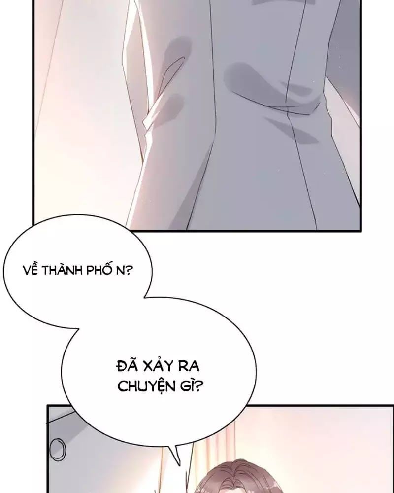 Cô Vợ Hợp Đồng Bỏ Trốn Của Tổng Giám Đốc Chapter 221 - 24