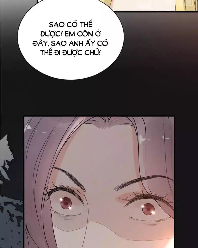 Cô Vợ Hợp Đồng Bỏ Trốn Của Tổng Giám Đốc Chapter 221 - 28