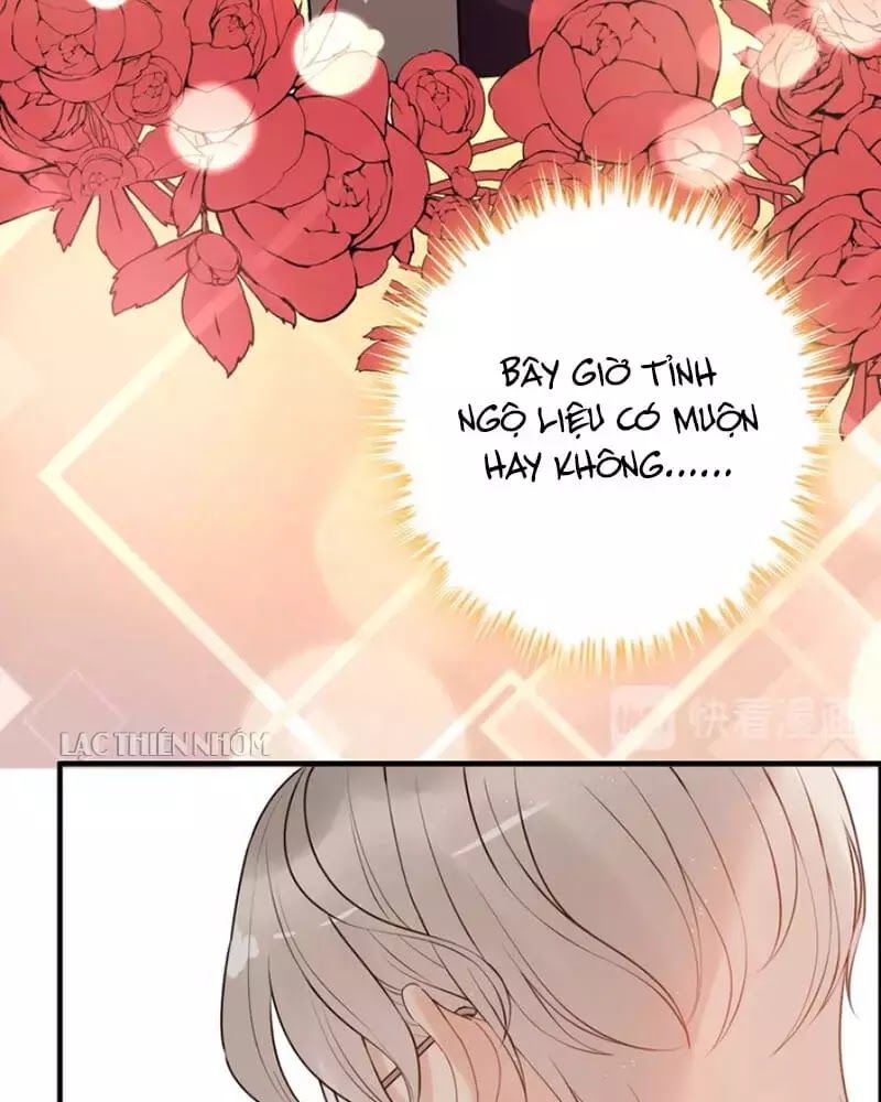 Cô Vợ Hợp Đồng Bỏ Trốn Của Tổng Giám Đốc Chapter 221 - 56