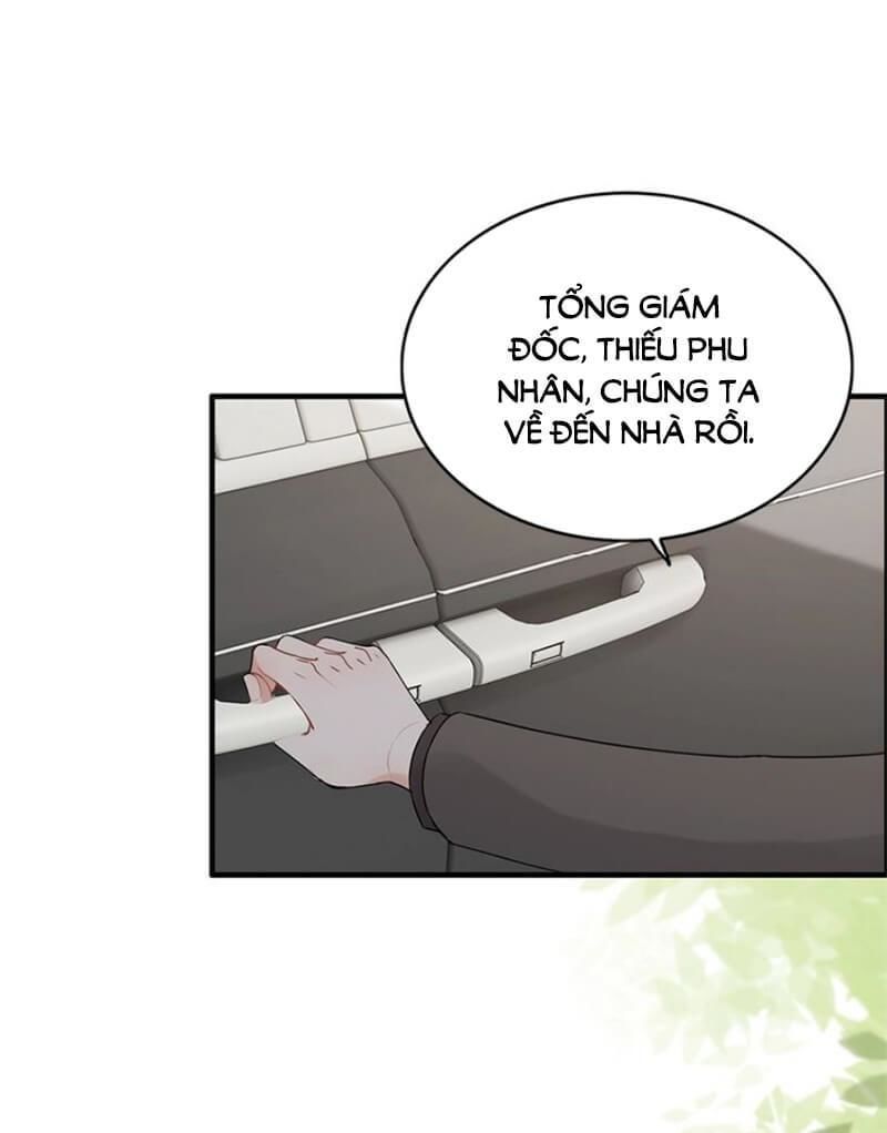 Cô Vợ Hợp Đồng Bỏ Trốn Của Tổng Giám Đốc Chapter 222 - 4