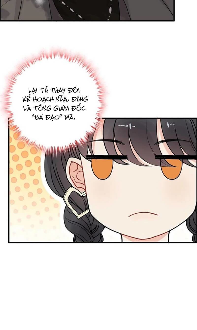 Cô Vợ Hợp Đồng Bỏ Trốn Của Tổng Giám Đốc Chapter 222 - 8