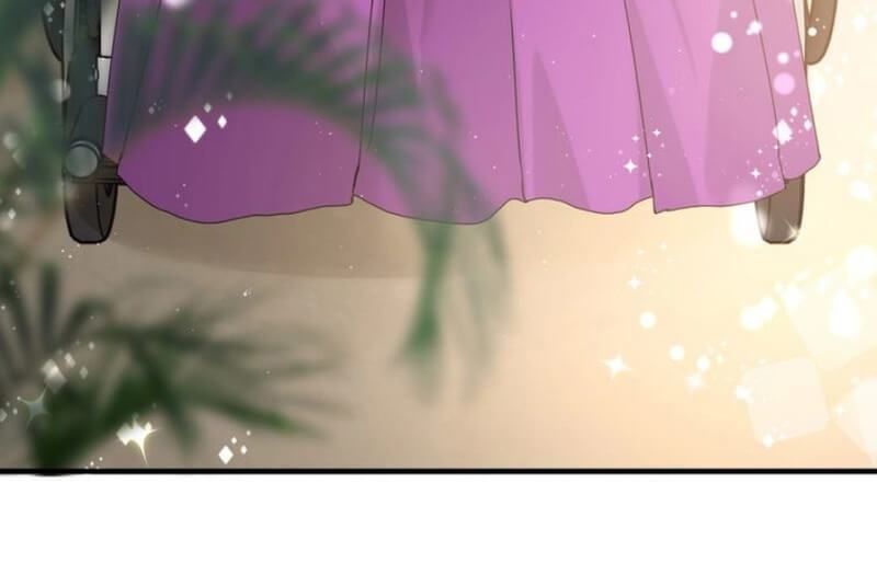 Cô Vợ Hợp Đồng Bỏ Trốn Của Tổng Giám Đốc Chapter 223 - 11