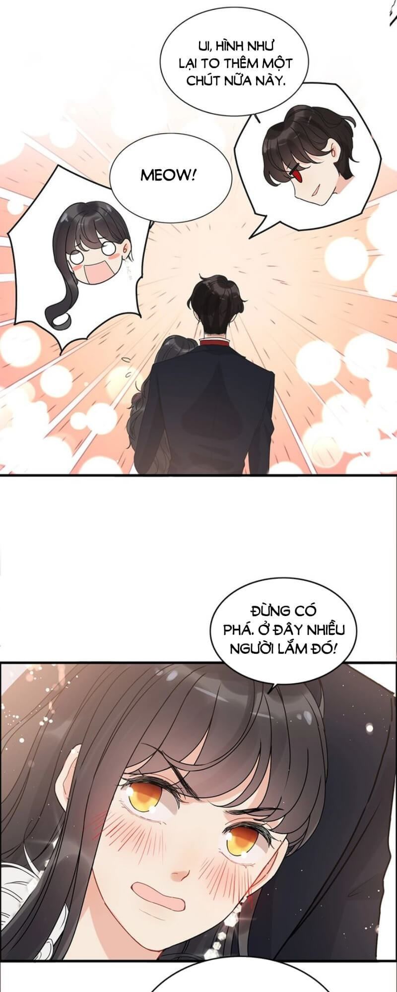 Cô Vợ Hợp Đồng Bỏ Trốn Của Tổng Giám Đốc Chapter 227 - 6