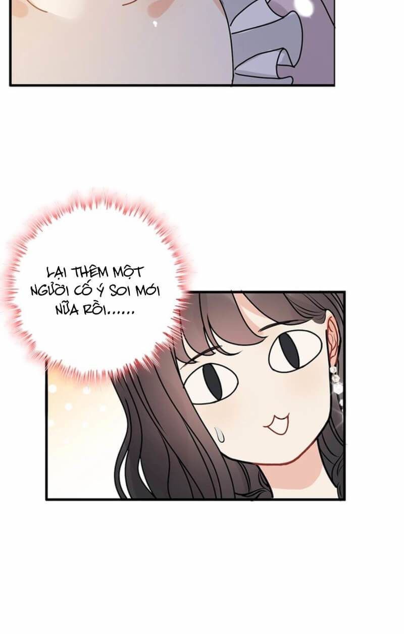 Cô Vợ Hợp Đồng Bỏ Trốn Của Tổng Giám Đốc Chapter 228 - 22