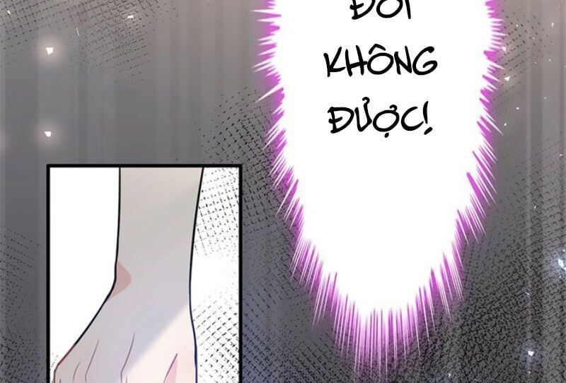 Cô Vợ Hợp Đồng Bỏ Trốn Của Tổng Giám Đốc Chapter 229 - 25