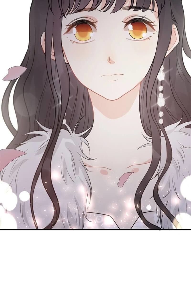 Cô Vợ Hợp Đồng Bỏ Trốn Của Tổng Giám Đốc Chapter 229 - 28