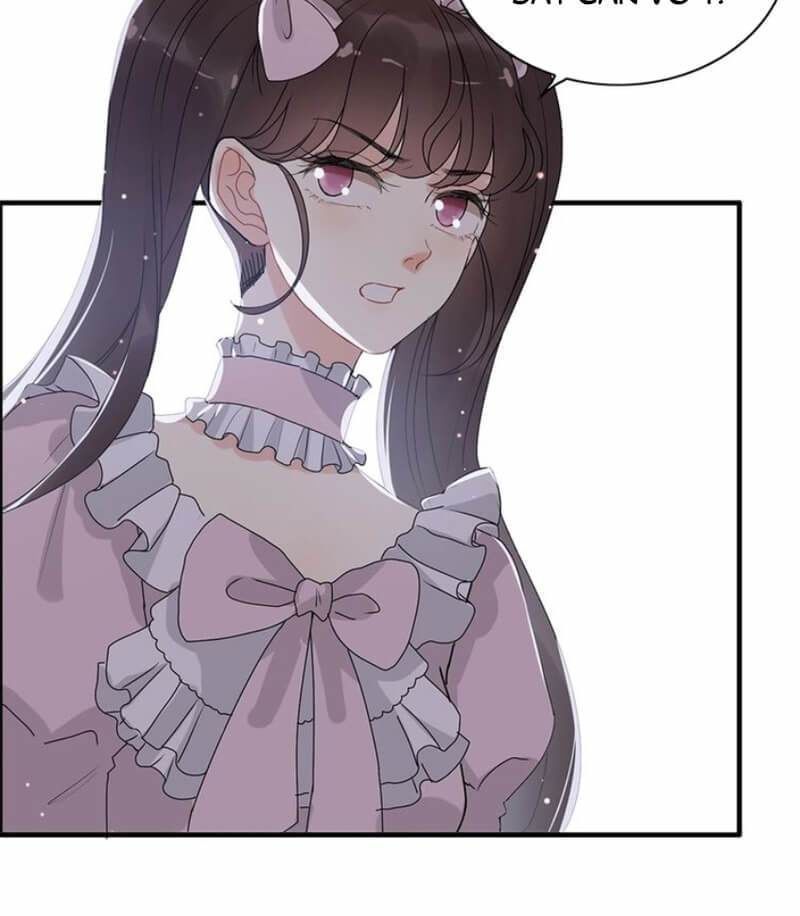 Cô Vợ Hợp Đồng Bỏ Trốn Của Tổng Giám Đốc Chapter 229 - 9