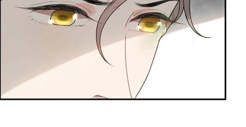 Cô Vợ Hợp Đồng Bỏ Trốn Của Tổng Giám Đốc Chapter 231 - 8