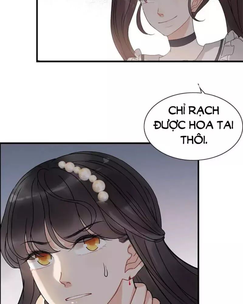 Cô Vợ Hợp Đồng Bỏ Trốn Của Tổng Giám Đốc Chapter 239 - 15