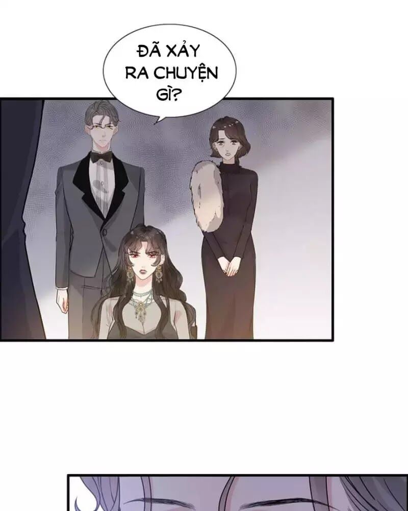 Cô Vợ Hợp Đồng Bỏ Trốn Của Tổng Giám Đốc Chapter 239 - 28