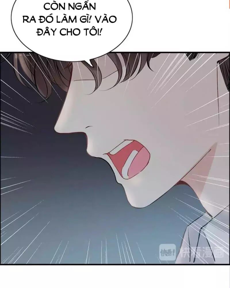 Cô Vợ Hợp Đồng Bỏ Trốn Của Tổng Giám Đốc Chapter 239 - 42