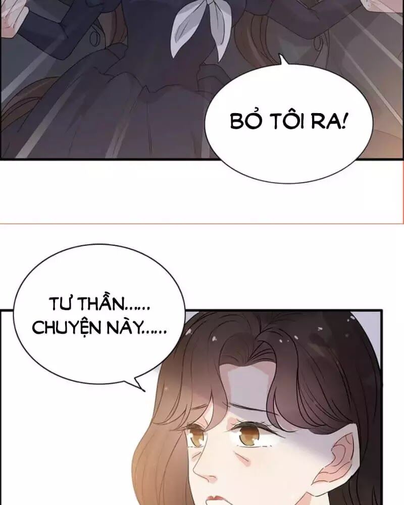 Cô Vợ Hợp Đồng Bỏ Trốn Của Tổng Giám Đốc Chapter 239 - 45