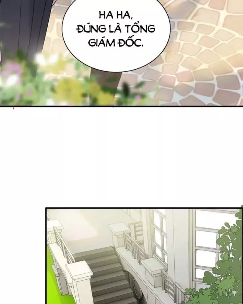 Cô Vợ Hợp Đồng Bỏ Trốn Của Tổng Giám Đốc Chapter 239 - 6