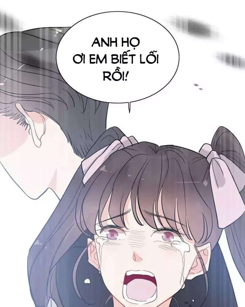 Cô Vợ Hợp Đồng Bỏ Trốn Của Tổng Giám Đốc Chapter 239 - 60