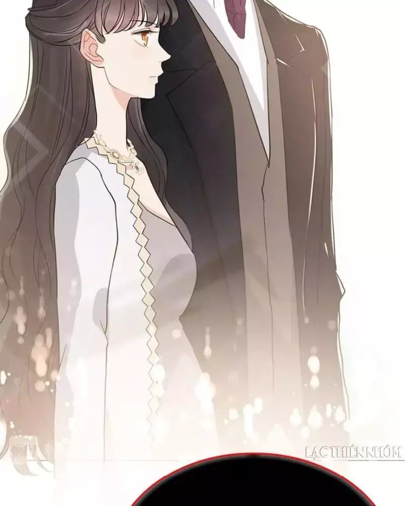 Cô Vợ Hợp Đồng Bỏ Trốn Của Tổng Giám Đốc Chapter 239 - 64