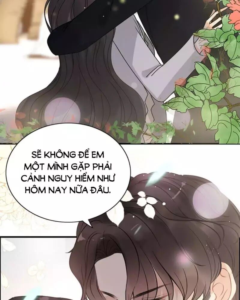 Cô Vợ Hợp Đồng Bỏ Trốn Của Tổng Giám Đốc Chapter 240 - 11