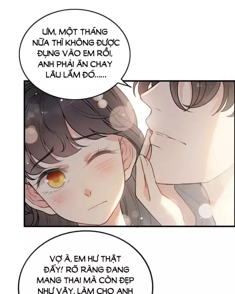 Cô Vợ Hợp Đồng Bỏ Trốn Của Tổng Giám Đốc Chapter 240 - 19