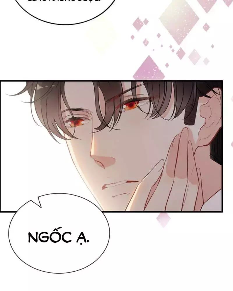 Cô Vợ Hợp Đồng Bỏ Trốn Của Tổng Giám Đốc Chapter 240 - 24