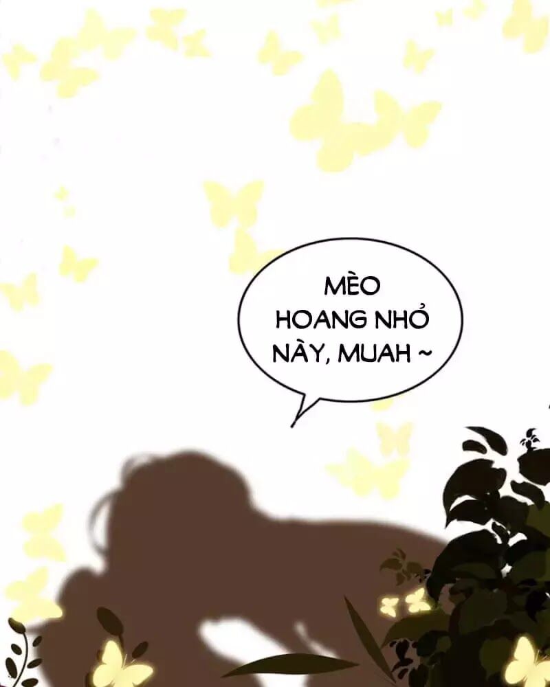 Cô Vợ Hợp Đồng Bỏ Trốn Của Tổng Giám Đốc Chapter 240 - 32