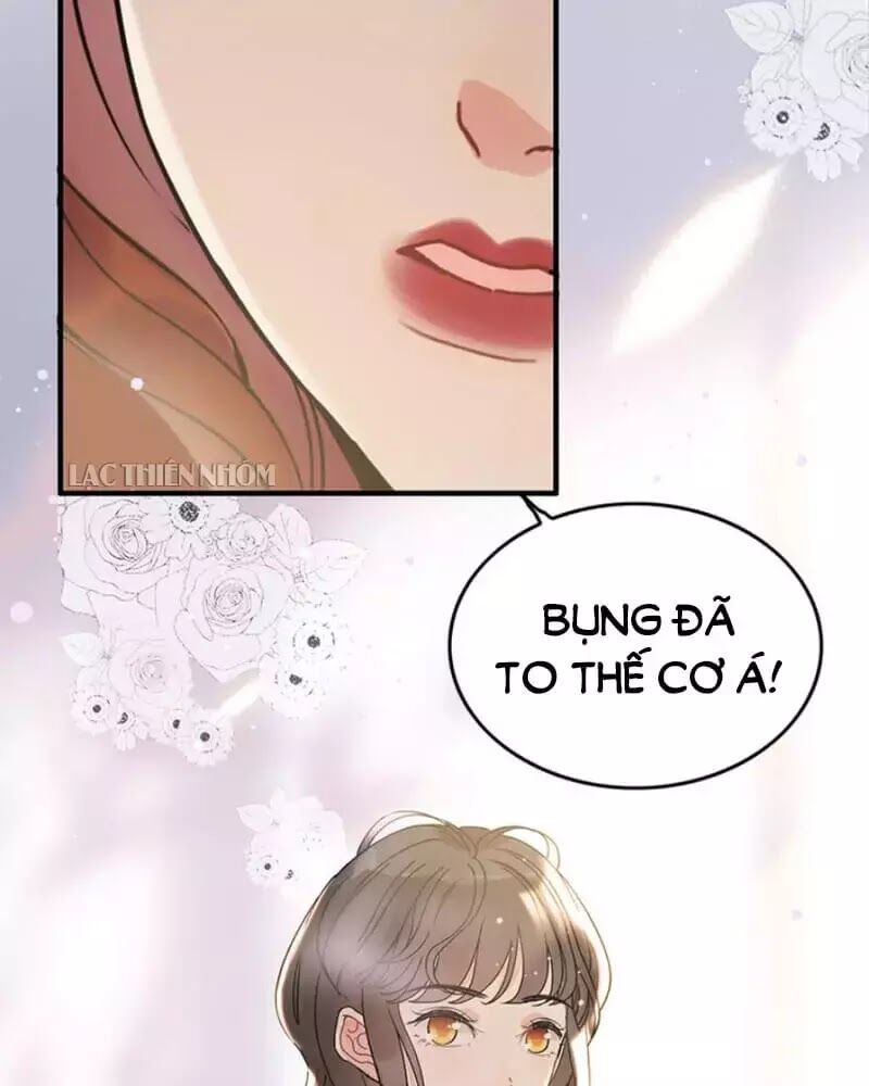 Cô Vợ Hợp Đồng Bỏ Trốn Của Tổng Giám Đốc Chapter 240 - 43