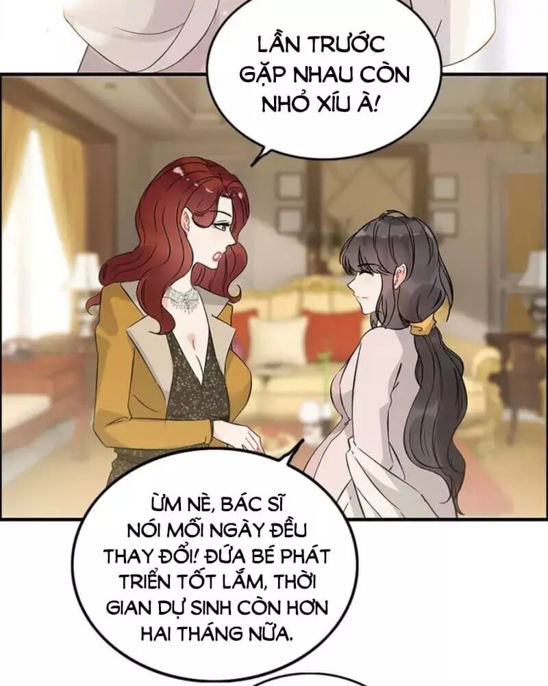 Cô Vợ Hợp Đồng Bỏ Trốn Của Tổng Giám Đốc Chapter 240 - 46