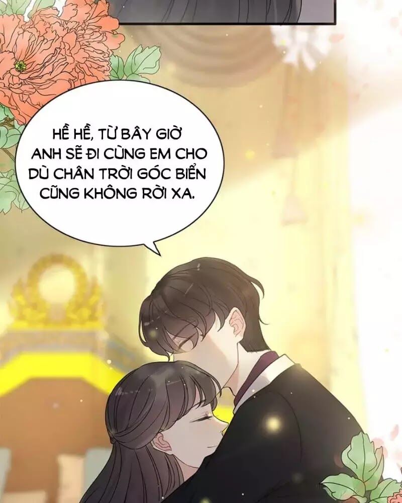 Cô Vợ Hợp Đồng Bỏ Trốn Của Tổng Giám Đốc Chapter 240 - 10