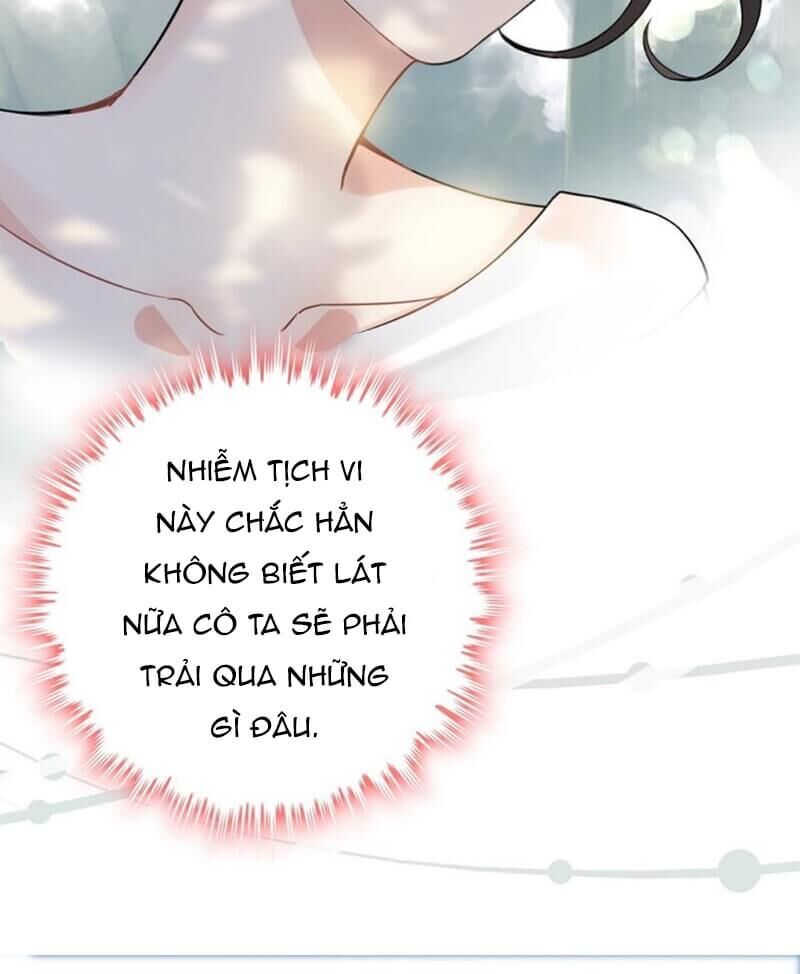 Cô Vợ Hợp Đồng Bỏ Trốn Của Tổng Giám Đốc Chapter 246 - 31